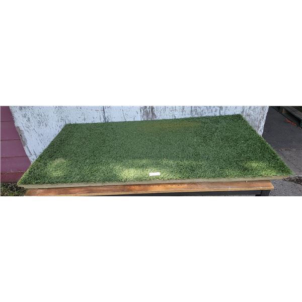 One Large Turf Hound Mat