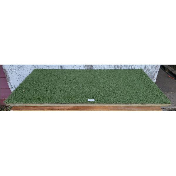 One Large Turf Hound Mat