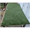 Image 2 : One Large Turf Hound Mat