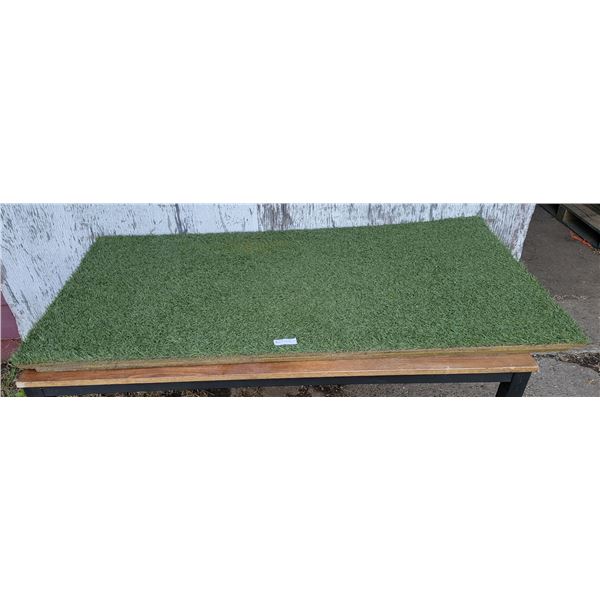 One Large Turf Hound Mat