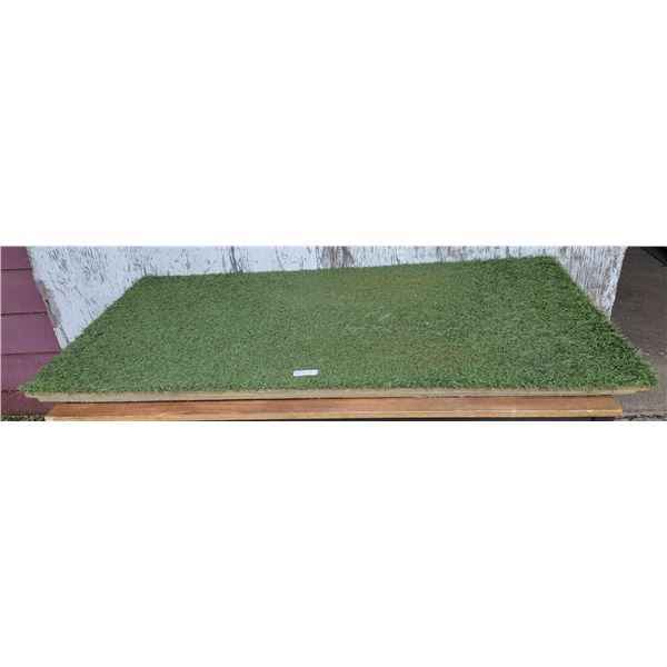 One Large Turf Hound Mat