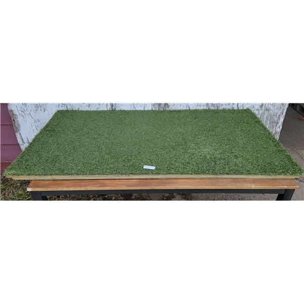 One Large Turf Hound Mat