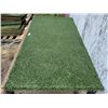 Image 2 : One Large Turf Hound Mat