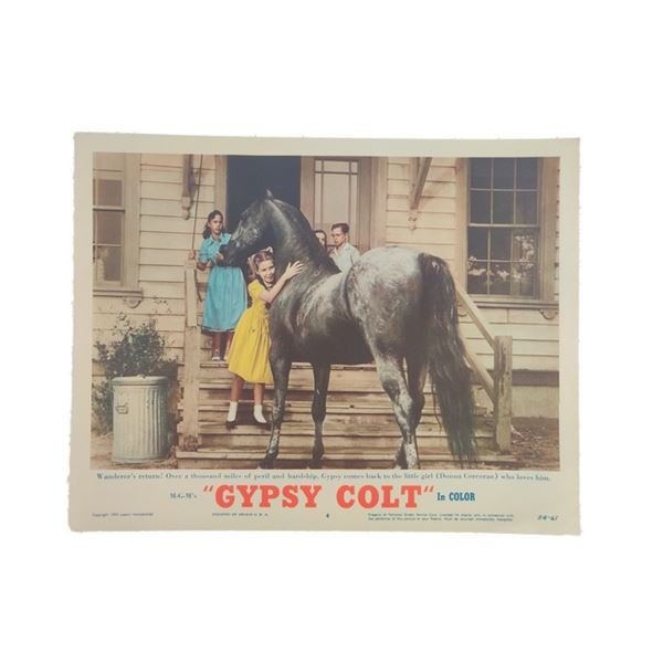 Gypsy Colt Lobby Card (1954)