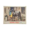 Image 1 : Gypsy Colt Lobby Card (1954)