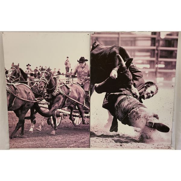 LOT OF 2 - RODEO PHOTOS MOUNTED ON ALUMINUM PANELS 