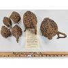 Image 2 : LOT OF 6 - TAMARACK BIRD DECOYS