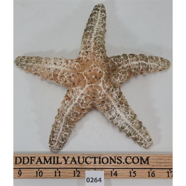 STAR FISH