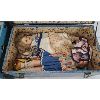 Image 3 : LOT OF 2 - DOLL TRUNKS W/ CONTENTS