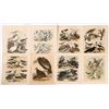 Image 1 : Large Bird and a Few Fish Art Plates, 25 [164848]