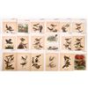 Image 2 : Vintage Bird Art Plates, 42 [164847]