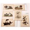 Image 3 : Vintage Bird Art Plates, 42 [164847]