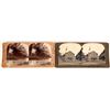 Image 1 : Hawaii Stereoviews [119366]