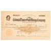 Image 1 : Colonial Dames Gold Mining Company Stock [161429]