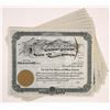 Image 1 : Gold Pick Mining & Milling Company Stock Certificates (10) [155720]