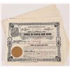 Image 1 : Tamarack and Chesapeak(sic.) Mining Co. Stock Certificate Collection [160407]