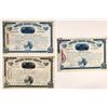 Image 1 : Moulton Mining Co. Stock Early Trio Signed by WA Clark, "Copper King" & US Senator [165277]