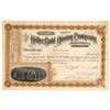 Image 1 : Miller Gold Mining Company Stock [161386]
