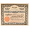 Image 1 : Bluster Consolidated Gold-Silver Mines Company Stock Certificate [165841]