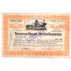 Image 2 : Tonopah Divide Mining Company Stock Collection [155713]