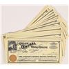 Image 1 : Grand Central Mining Company Stock Certificates (50) [155726]
