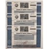 Image 1 : American Skiing Company Stock Certificate Trio [165822]