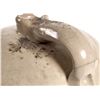 Image 5 : Rare Queen City Pottery Jug [159741]