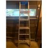 Image 1 : 6' Ladder