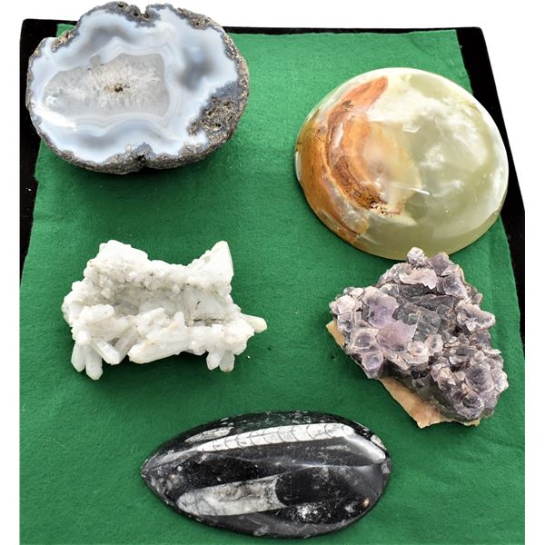 Collection of Rocks and 1 Fossil