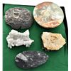 Image 2 : Collection of Rocks and 1 Fossil