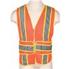 Image 1 : A Walt Disney World Parades Reflective Vest.