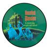 Image 1 : A Haunted Mansion Walt Disney Records Picture Disc.