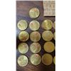 Image 2 : Roll of Color/Noncolor Loonies