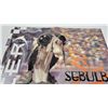 Image 2 : Star wars Poster Sebulba