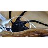 Image 2 : 12.5" Murano Style Black Conch Seashell Glass Art