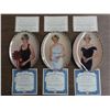 Image 1 : 3 Princess Diana Painted Plates: 839A, 1558B, 5817B