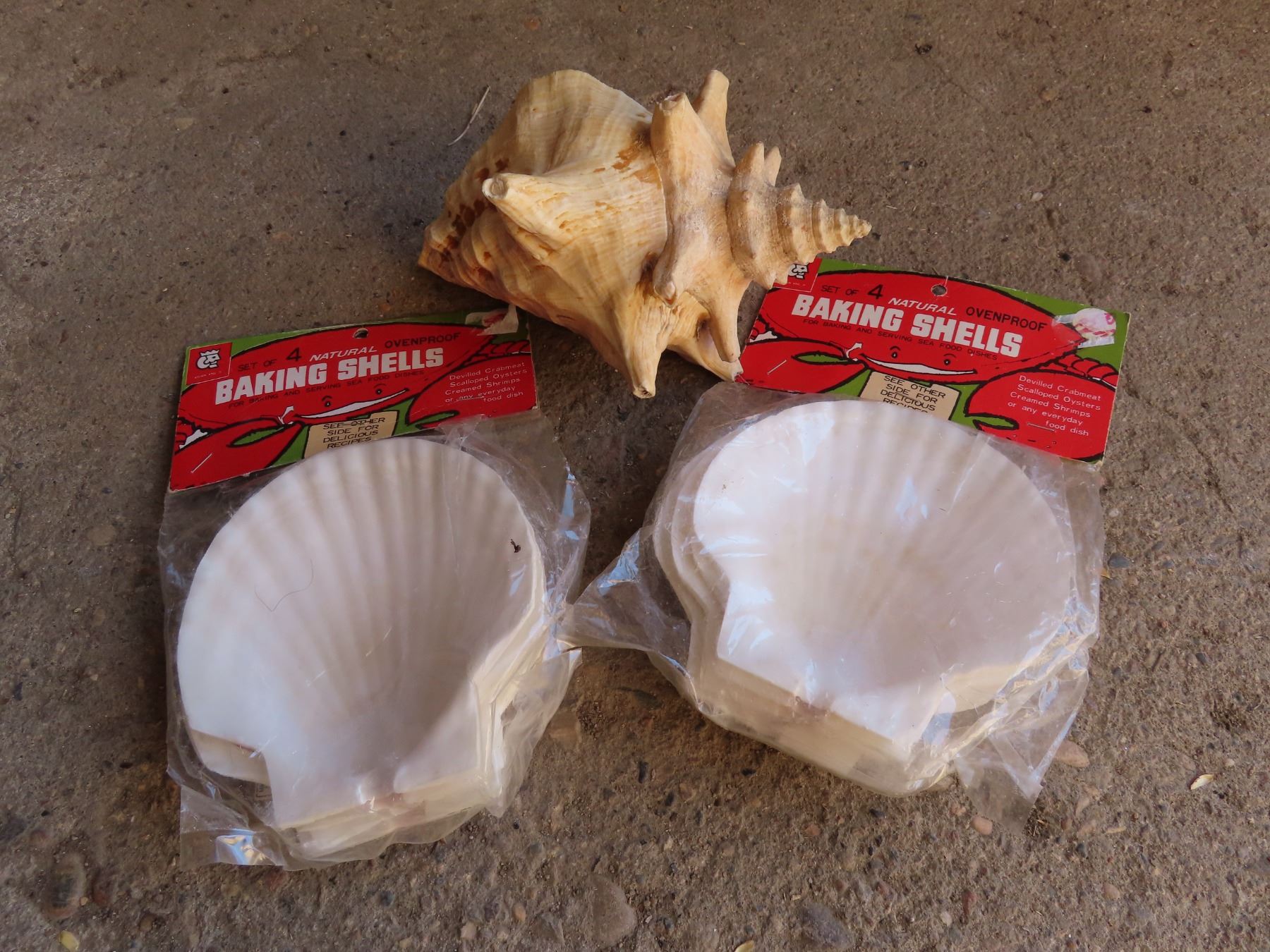 Shell Packages Beautiful seashell and 2 packages of sea shells - Schmalz Auctions