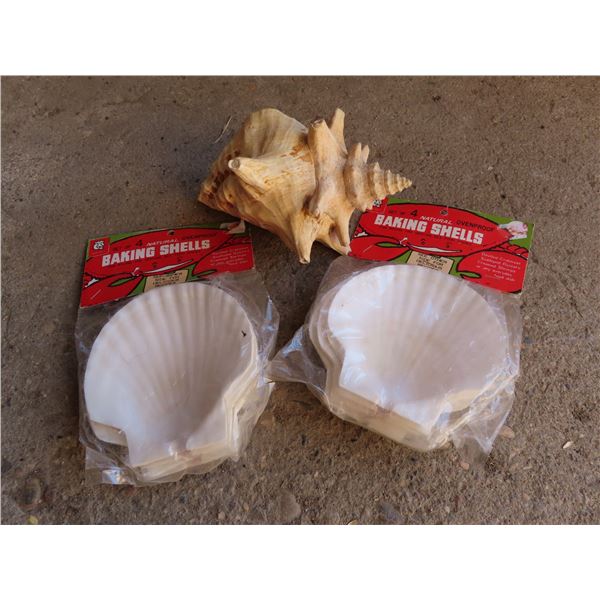 Beautiful seashell and 2 packages of sea shells - Schmalz Auctions
