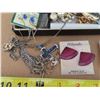 Image 2 : Lot of Costume Jewelry