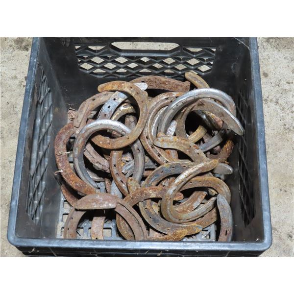Tub of Horseshoes