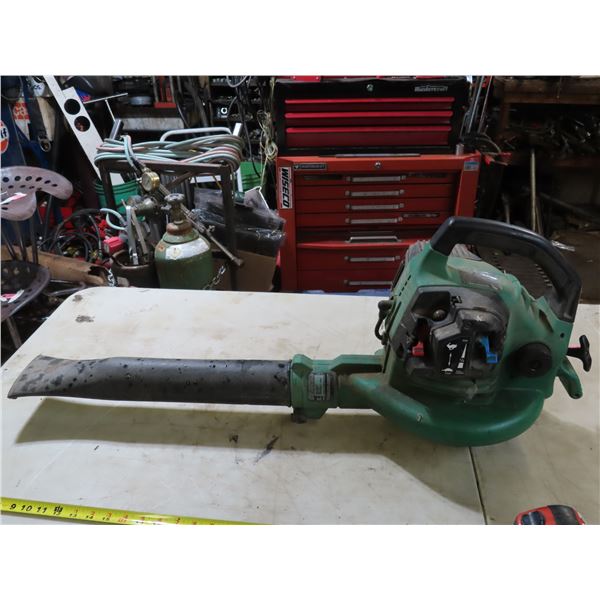 Weed eater leaf blower