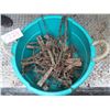 Image 1 : Tub of Leghold traps and parts