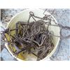 Image 2 : Pail of Conibear traps