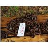 Image 3 : Lot of 3 heavy duty chains