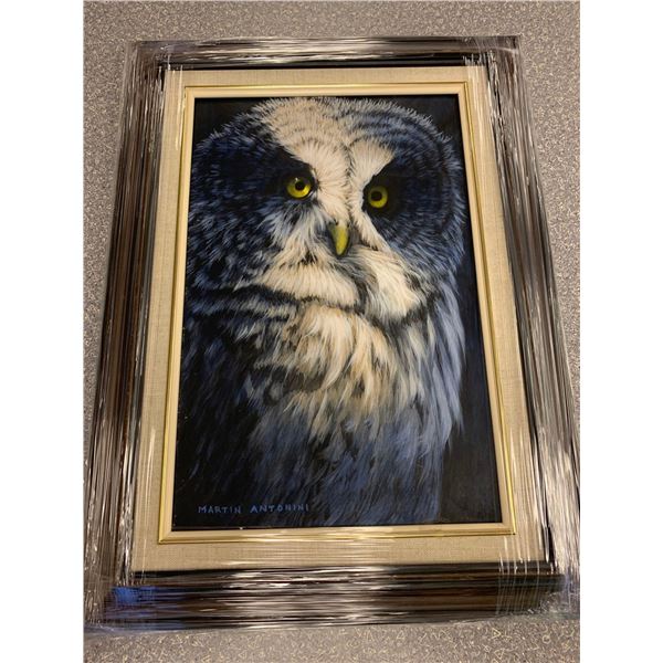 "Owl" Framed Oil on board Original by Local Artist Martin Antoninni Picture 10 x 16 Frame 16 x 20