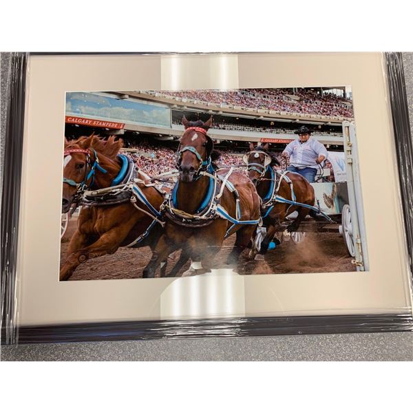 Calgary Stampede Chuckwagon Photo 23 x 16 Frame 30 x 22