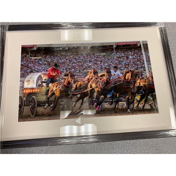 "Mavericks" Calgary Stampede Photo 25 x 15 Frame 32 x 22