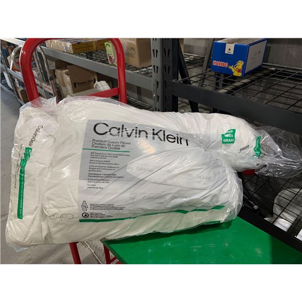 Calvin Klein Premium Luxury Pillow Set of 2 - King Size