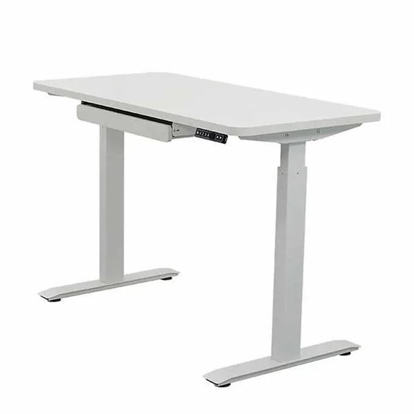 48 in. × 24 in  Electric Height Adjustable Standing Desk with Antibacterial Desk Top, White