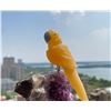 Image 1 : Natural Stone Handcarved Quartz Bird
